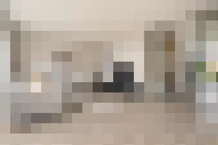 Mantelspeld 14 Dalfsen thumbnail 16