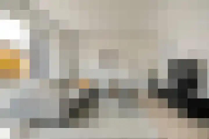 Mantelspeld 14 Dalfsen thumbnail 17
