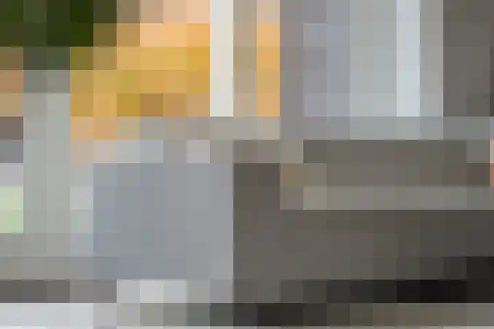 Mantelspeld 14 Dalfsen thumbnail 21