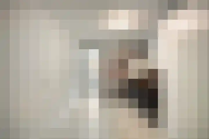 Mantelspeld 14 Dalfsen thumbnail 24