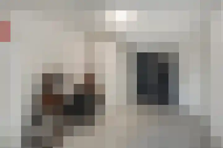 Mantelspeld 14 Dalfsen thumbnail 25