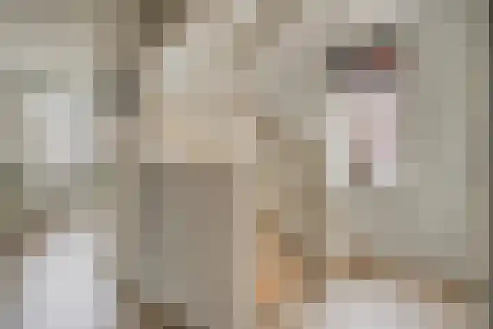 Mantelspeld 14 Dalfsen thumbnail 28