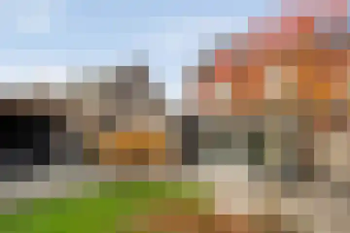 Mantelspeld 14 Dalfsen thumbnail 41