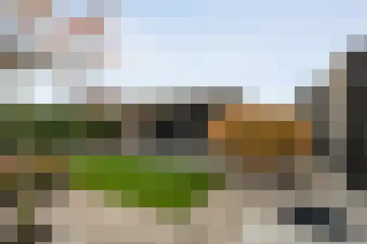 Mantelspeld 14 Dalfsen thumbnail 43