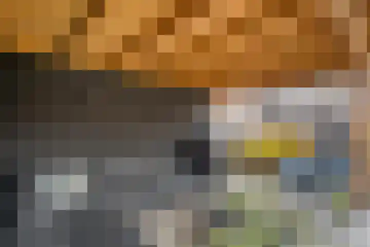 Mantelspeld 14 Dalfsen thumbnail 44