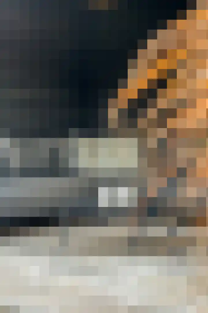 Mantelspeld 14 Dalfsen thumbnail 46