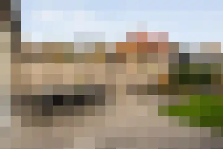 Mantelspeld 14 Dalfsen thumbnail 48