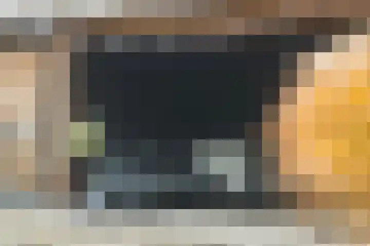 Mantelspeld 14 Dalfsen thumbnail 49