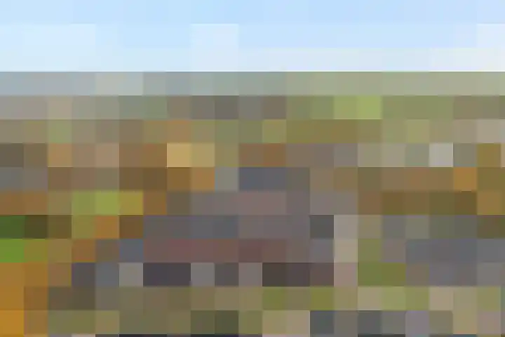 Mantelspeld 14 Dalfsen thumbnail 55