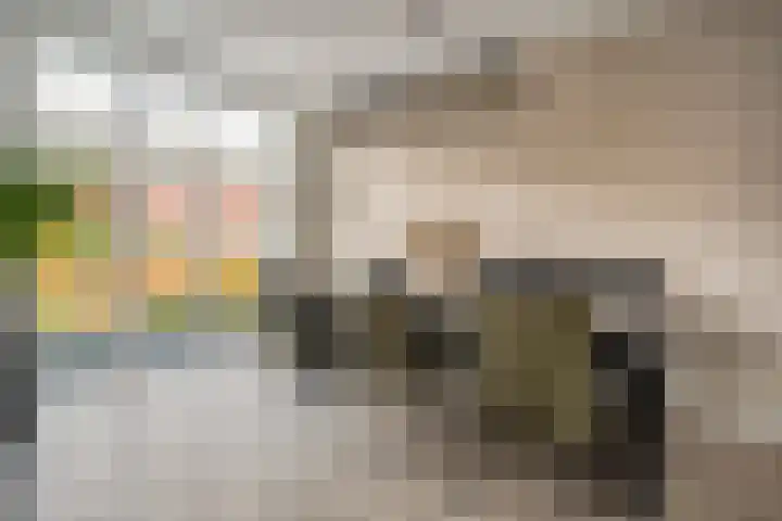 Mantelspeld 14 Dalfsen thumbnail 8