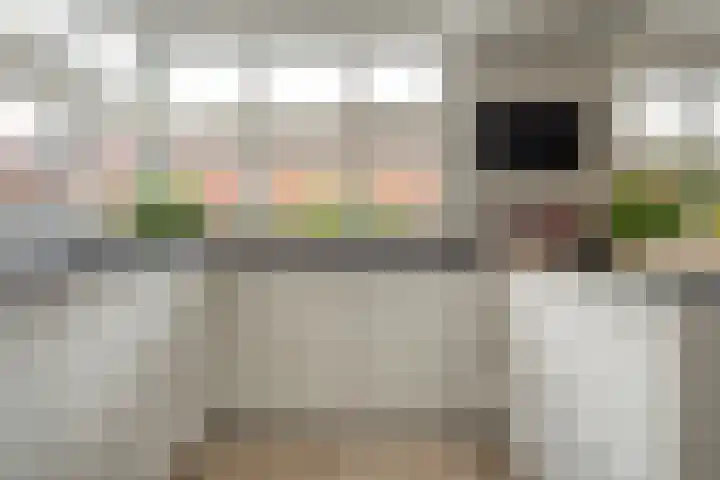 Mantelspeld 14 Dalfsen thumbnail 9
