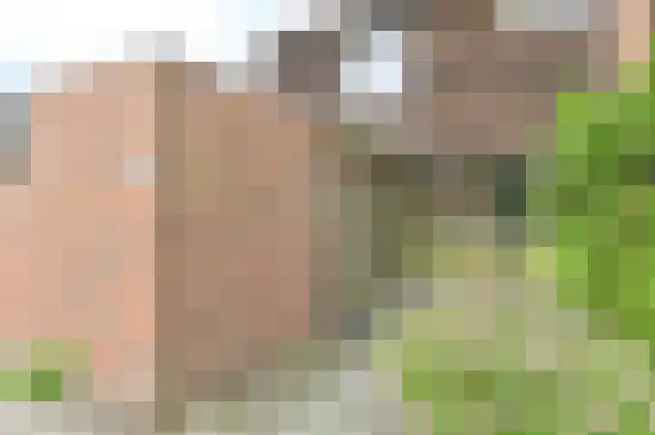 Mantingerbrink 189 Emmen thumbnail 6