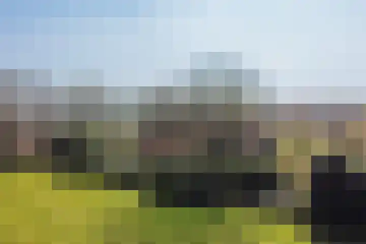 Mantingerdijk 13 Mantinge thumbnail 4