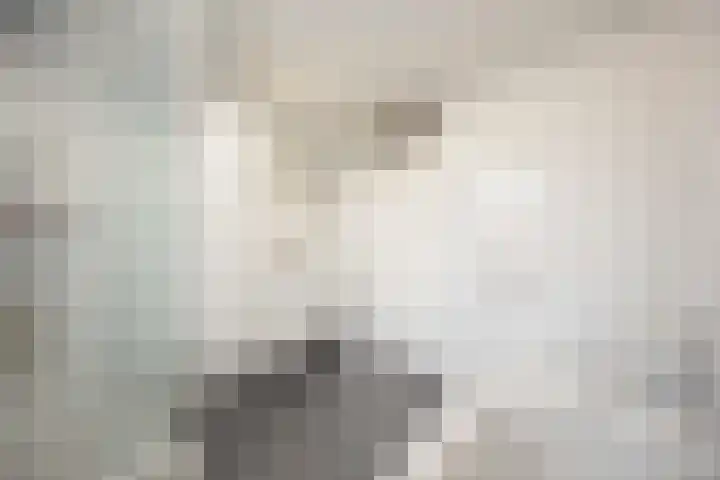 Mantingestraat 37 Tilburg thumbnail 17