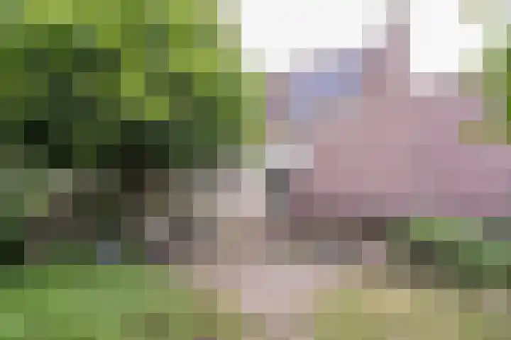 Maogien 9 Meppel thumbnail 34