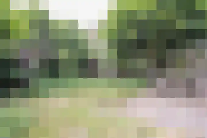 Maogien 9 Meppel thumbnail 36