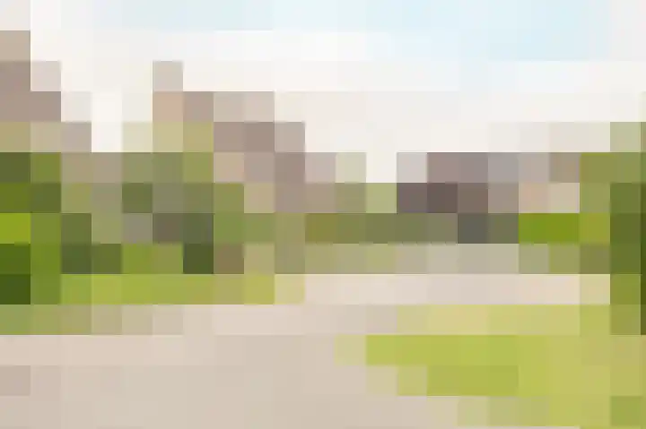 Maogien 9 Meppel thumbnail 41