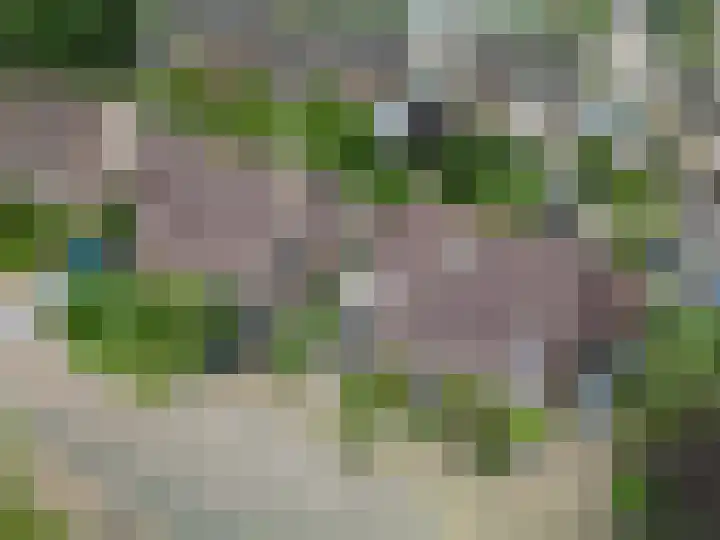 Maogien 9 Meppel thumbnail 42