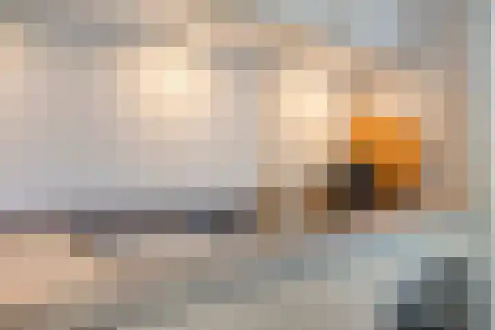 Marathon 5 Elst thumbnail 14