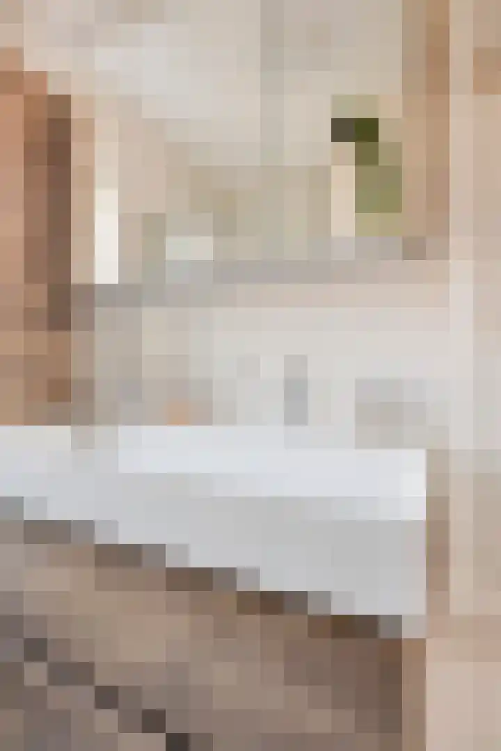 Marathon 5 Elst thumbnail 21