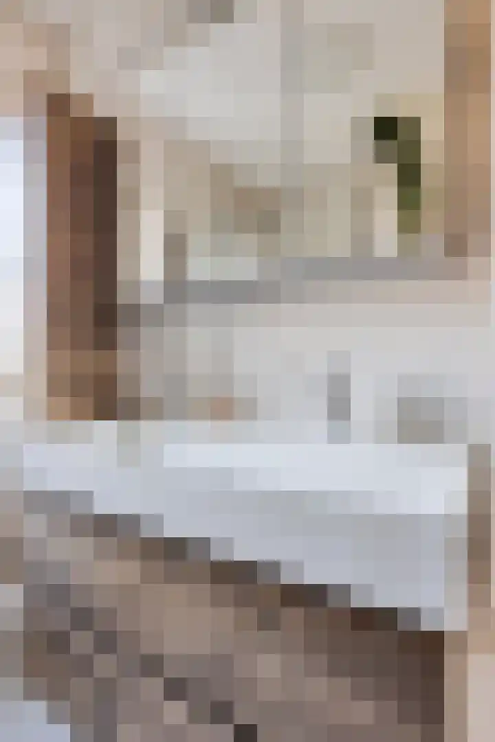 Marathon 5 Elst thumbnail 22