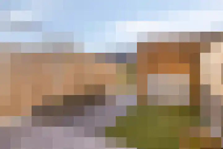 Marathon 5 Elst thumbnail 28