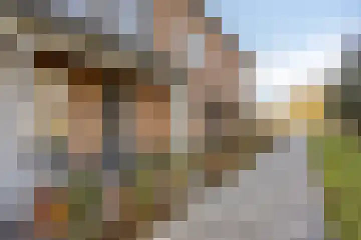 Marathon 5 Elst thumbnail 30
