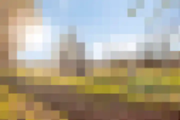 Marathon 5 Elst thumbnail 31