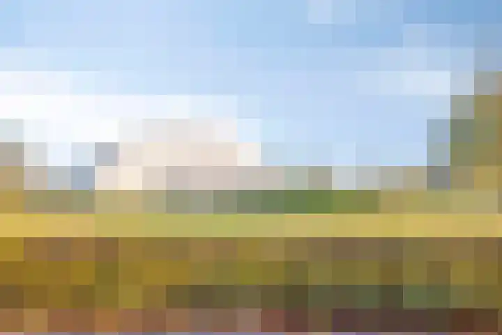 Marathon 5 Elst thumbnail 32