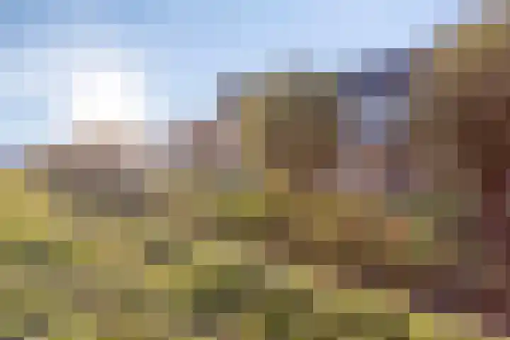 Marathon 5 Elst thumbnail 4