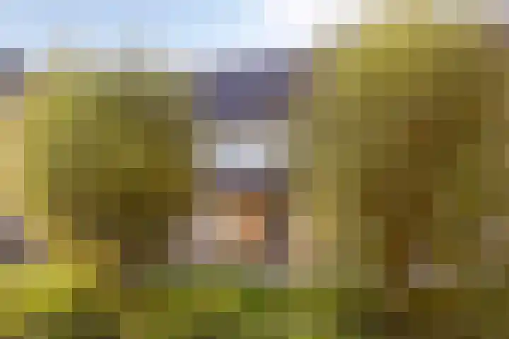 Marathon 5 Elst thumbnail 5