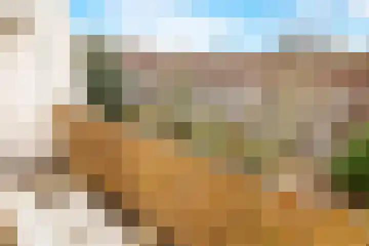 Marathonweg 4 2 Amsterdam thumbnail 9