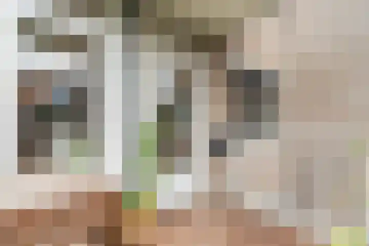 Marcantilaan 24 Amsterdam thumbnail 17