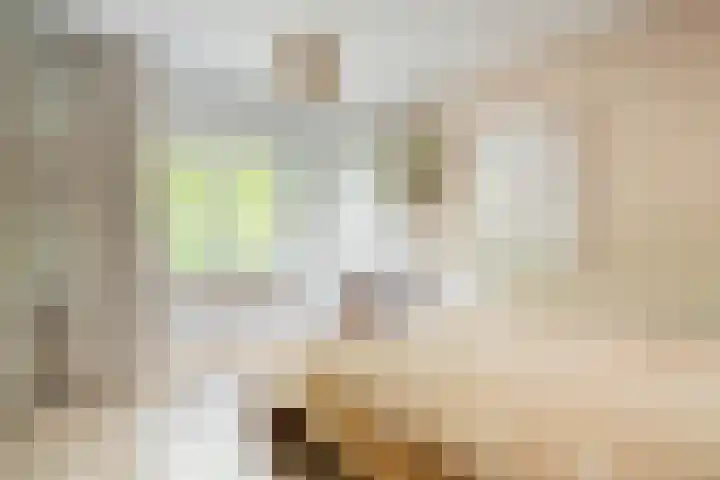 Marcantilaan 24 Amsterdam thumbnail 18