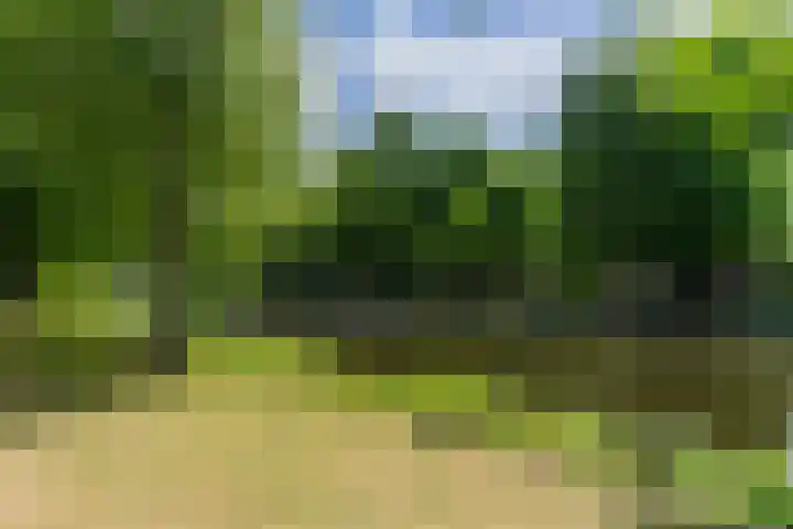 Marcantilaan 24 Amsterdam thumbnail 25
