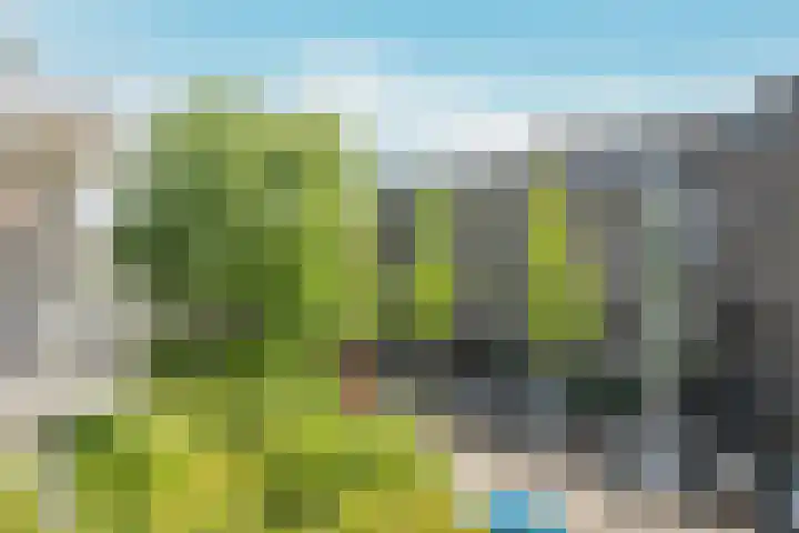 Marcantilaan 24 Amsterdam thumbnail 29