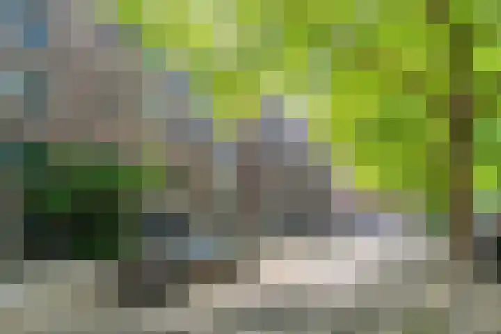Marcantilaan 24 Amsterdam thumbnail 33