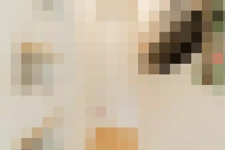 Marcantilaan 24 Amsterdam thumbnail 8