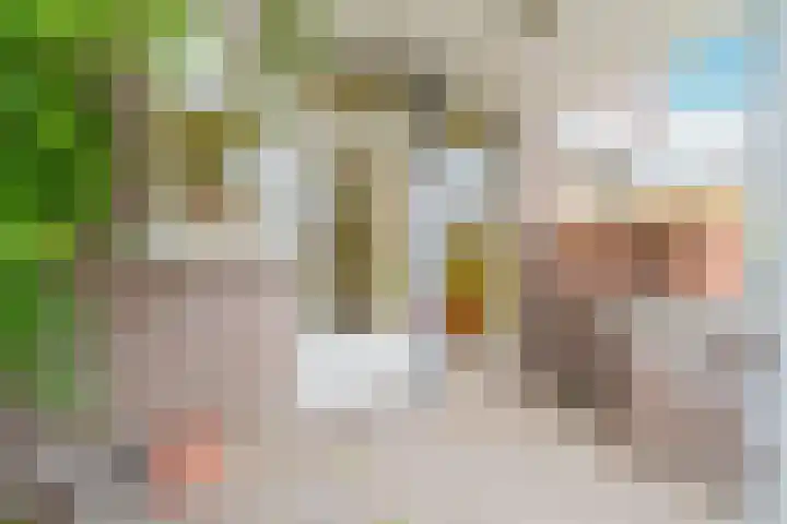 Marcantilaan 364 Amsterdam thumbnail 10