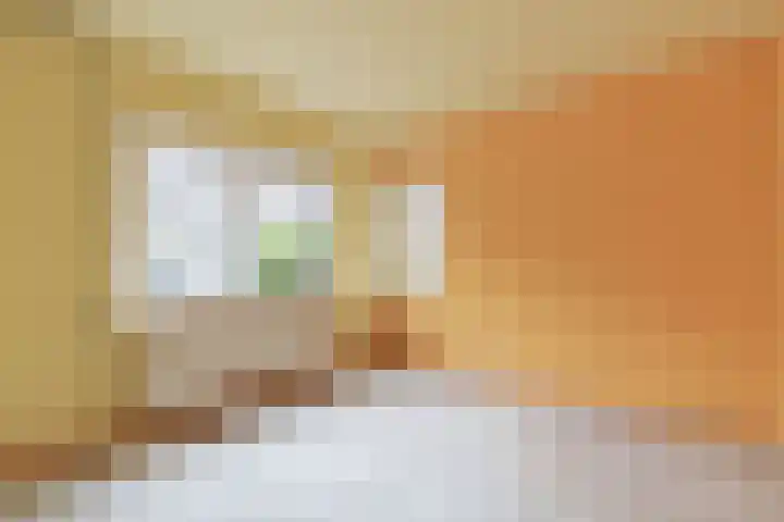 Marcantilaan 364 Amsterdam thumbnail 15