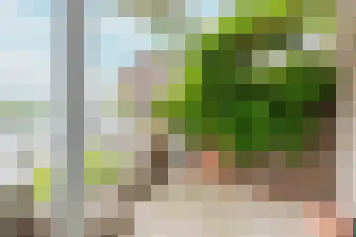 Marcantilaan 364 Amsterdam thumbnail 9