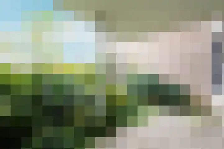Marcantilaan 379 Amsterdam thumbnail 21