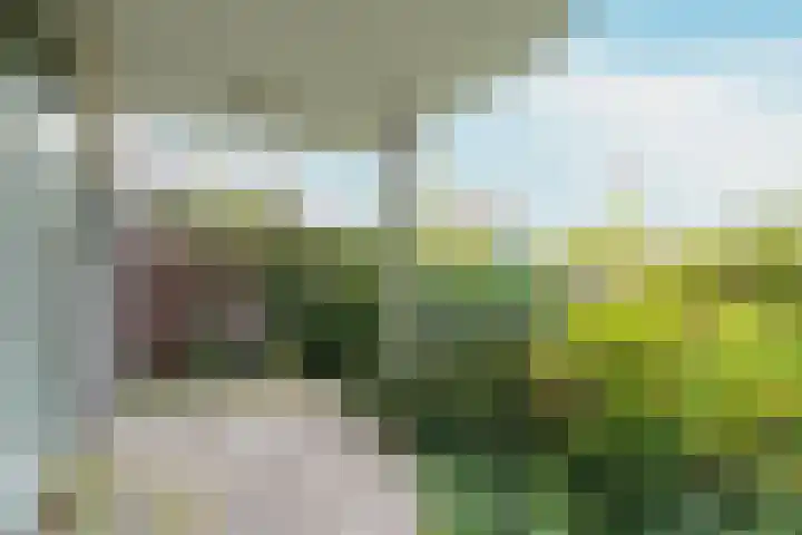 Marcantilaan 379 Amsterdam thumbnail 22