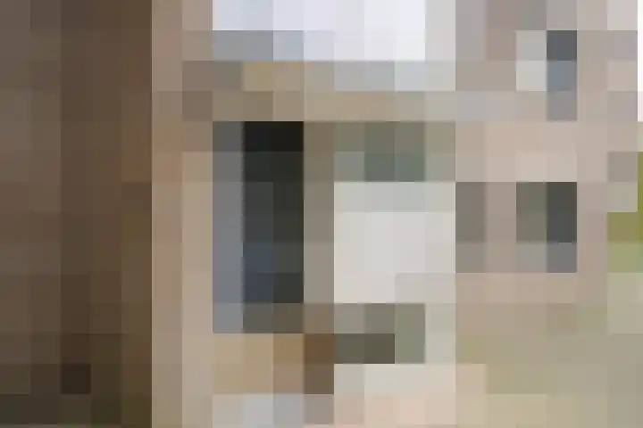 Marcantilaan 379 Amsterdam thumbnail 23