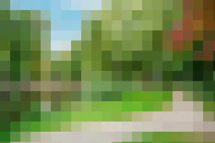 Marcantilaan 379 Amsterdam thumbnail 26
