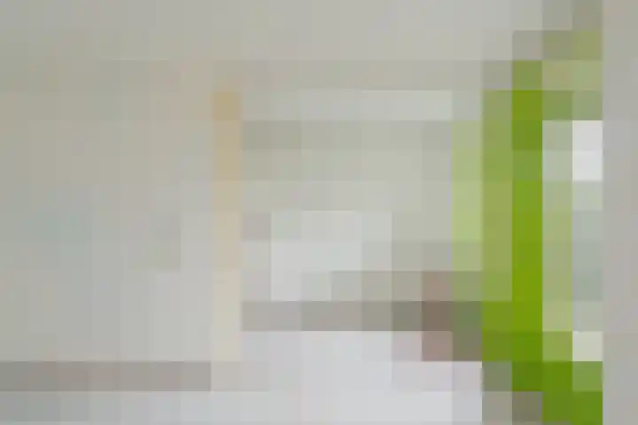 Marcantilaan 379 Amsterdam thumbnail 9