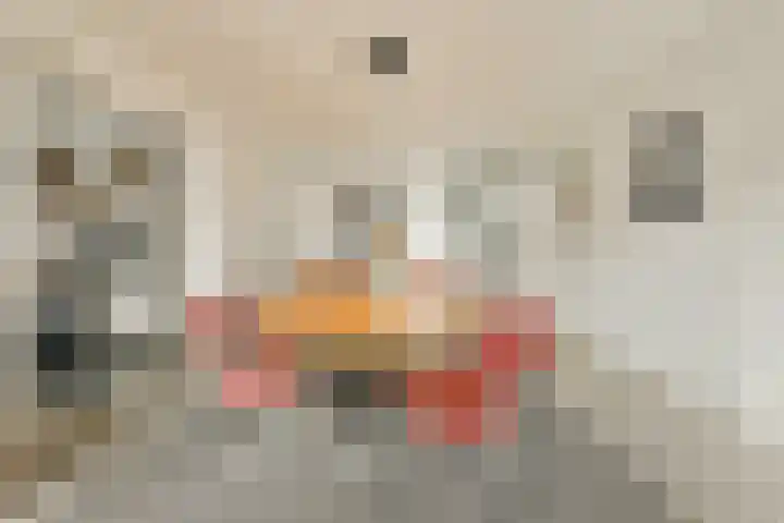 Marcantilaan 420 Amsterdam thumbnail 14