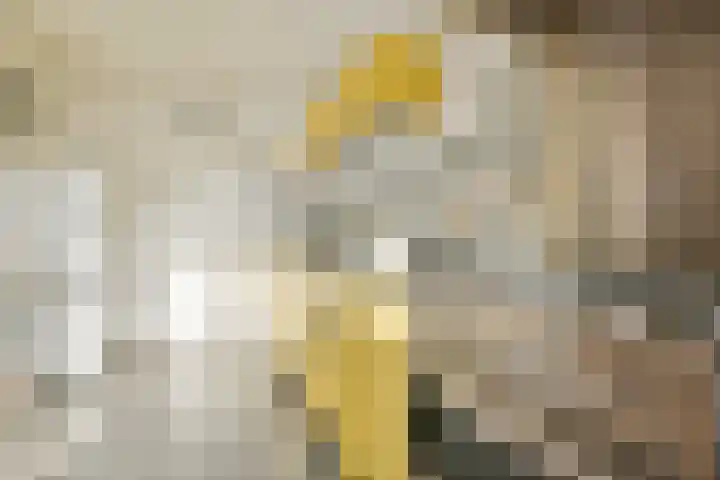 Marcantilaan 420 Amsterdam thumbnail 18