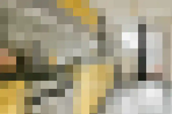 Marcantilaan 420 Amsterdam thumbnail 19