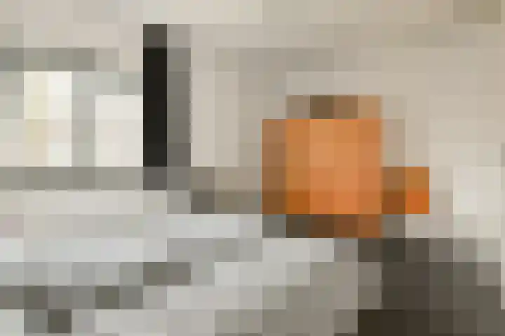 Marcantilaan 420 Amsterdam thumbnail 24